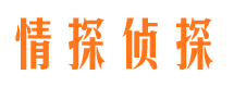 宏伟市侦探调查公司